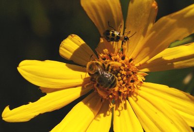 P9871.JPG