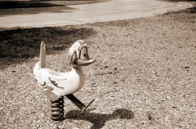 ride the ducky 1.JPG