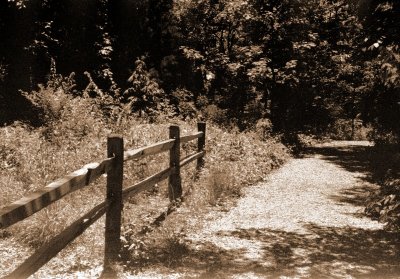 split rail 13.JPG