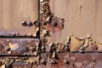 old paint 5634.JPG