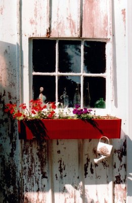 windowbox.JPG