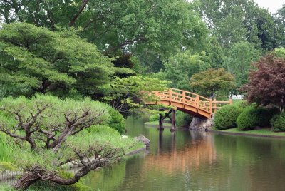 japanese bridge.JPG