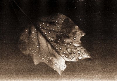 n.JPG