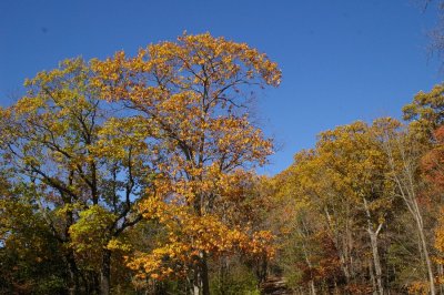 P8613.JPG