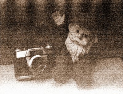 q.JPG