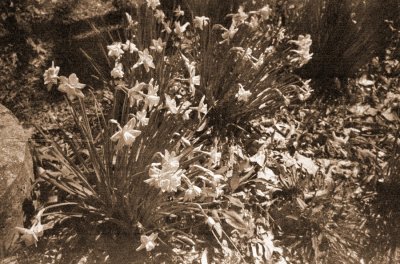 10b.JPG