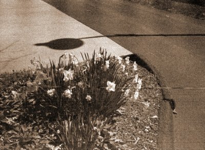 11b.JPG