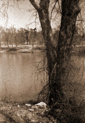 17b.JPG