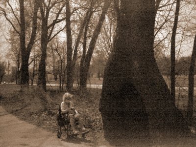 24b.JPG