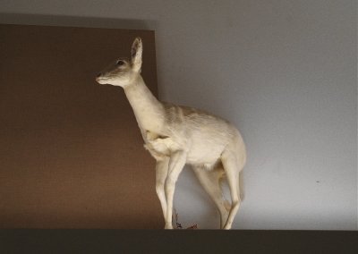 P1166.JPG