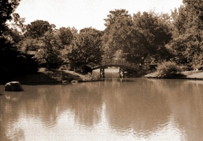Black Ciro 35 at Missouri Botanical Garden and Caffenol