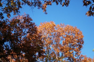 P9578.JPG
