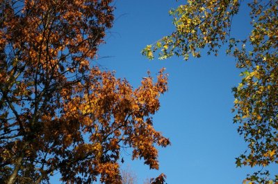 P9605.JPG