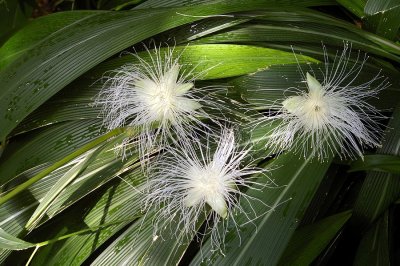 P9230.JPG