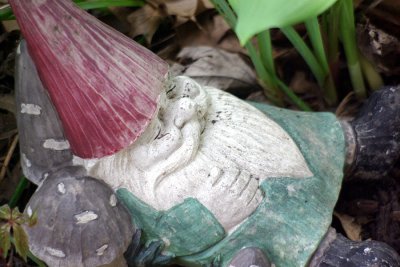 P2343.JPG