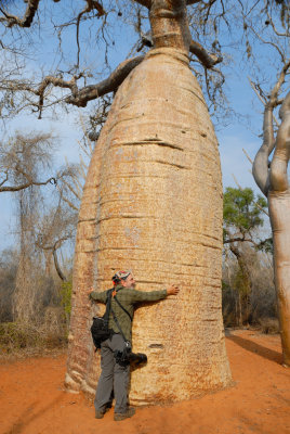 Je donne un Clin au Baobab rouge