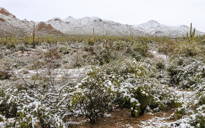 Peaks of the Tucson Mountain Range covered in snow in Saguaro National Park