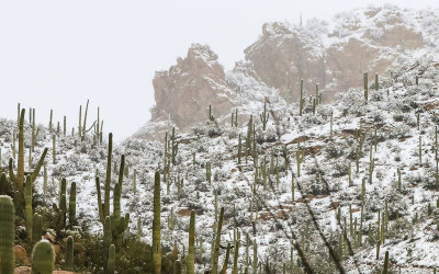 A rocky outcropping surrounded by the snow covered desert in Saguaro National Park