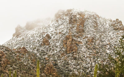 A high peak in a snowy cloud in Saguaro National Park
