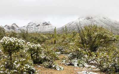 View of Gates Pass (left) and Golden Gate Butte in the clouds (right) in Tucson Mountain Park