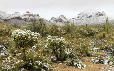2019 Tucson Mountain Park Snow – Arizona