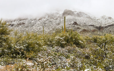 The Tucson Mountain Range shrouded in clouds and snow in Tucson Mountain Park