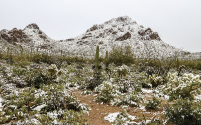 Gates Pass viewed across a snow covered desert in Tucson Mountain Park