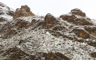 Mountain peaks in the snow in Tucson Mountain Park