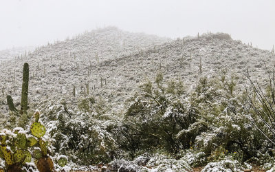 Snow falls on the hills along Kinney Road in Tucson Mountain Park
