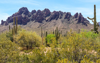 Ragged Top Mountain range in Ironwood Forest National Monument