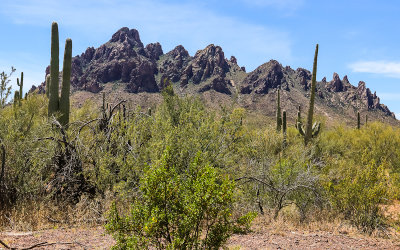 Ragged Top Mountain in Ironwood Forest National Monument