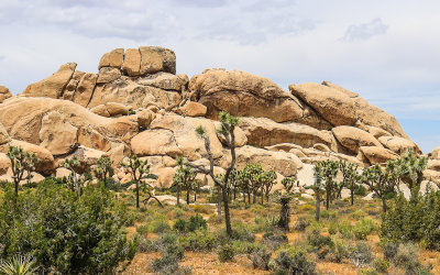 View of stacked boulders along Park Boulevard in Joshua Tree National Park
