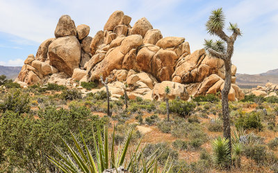 Boulder Pile near Hidden Valley in Joshua Tree National Park