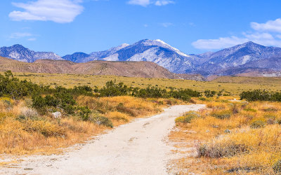 Sand to Snow National Monument  California 