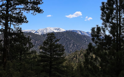 San Gorgonio peak from CA 38 north of Sand to Snow National Monument
