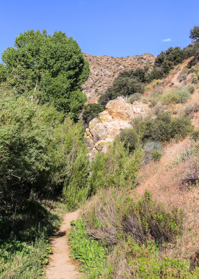 Along the Mesquite Trail in Big Morongo Canyon Preserve in Sand to Snow National Monument