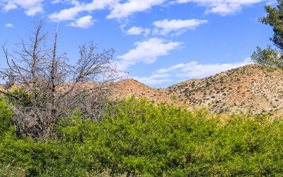View of Big Morongo Canyon Preserve in Sand to Snow National Monument