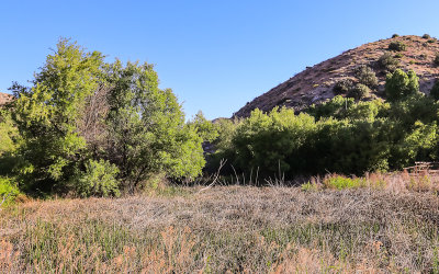 View from the Marsh Trail in Big Morongo Canyon Preserve in Sand to Snow National Monument