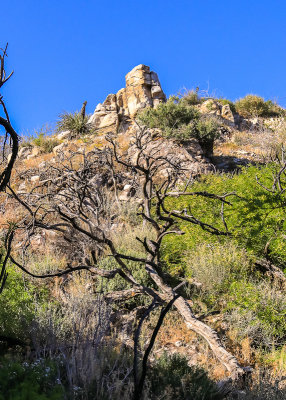 Outcropping on Yucca Ridge in Big Morongo Canyon Preserve in Sand to Snow National Monument