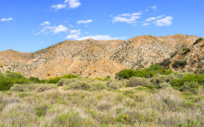Big Morongo Canyon Preserve along the Mesquite Trail in Sand to Snow National Monument