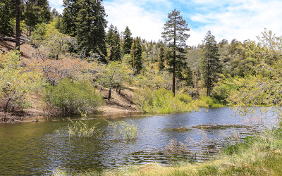 Jackson Lake along the Big Pines Highway in San Gabriel Mountains NM