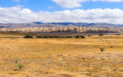 Distant view of the Temblor Range in Carrizo Plain National Monument