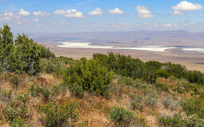 Soda Lake (currently dry) from the Caliente Mountain road in Carrizo Plain National Monument