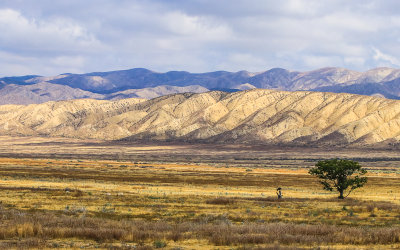 Carrizo Plain National Monument  California