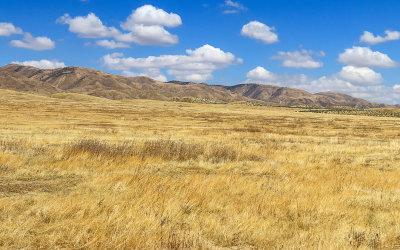Temblor Range foothills in Carrizo Plain National Monument