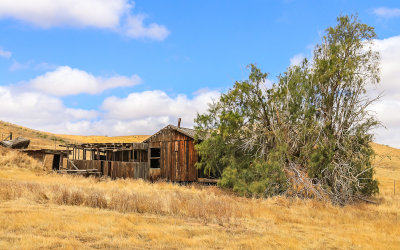 Part of the Traver Ranch in Carrizo Plain National Monument
