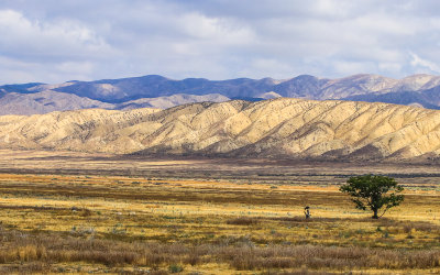 Carrizo Plain NM  California (2019)