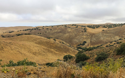 Grass covered hills in Bitter Creek National Wildlife Refuge 