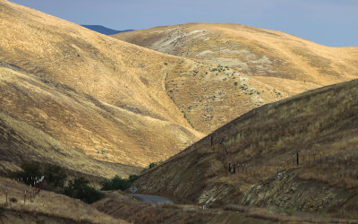 Bitter Creek National Wildlife Refuge  California