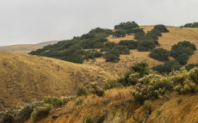 Hills along the Klipstein Canyon Road in Bitter Creek National Wildlife Refuge